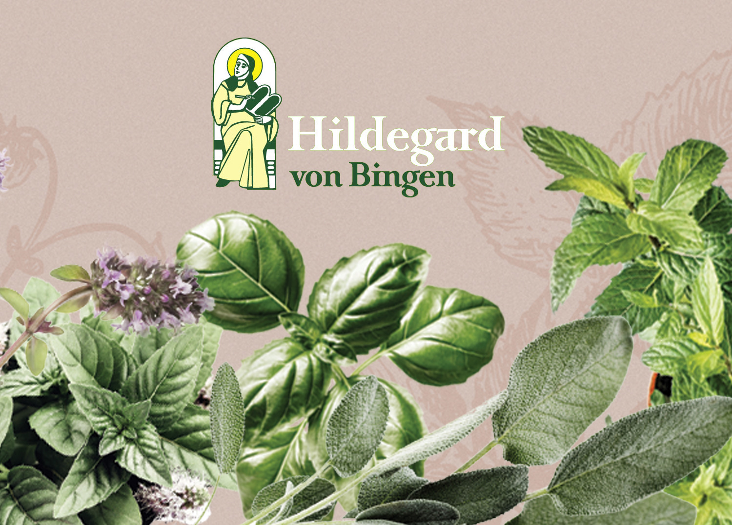 Die Kräuter der Hildegard von Bingen