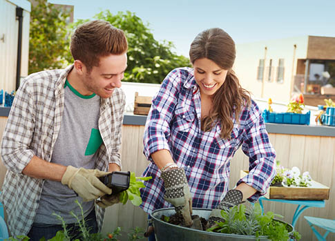 Urban Farming