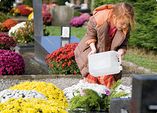 Tipps zur Grabpflege