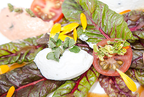 "Feurio"-Mangold Salat mit Frischkäse Pralinen