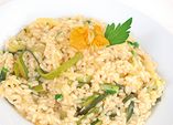 Kürbis-Risotto