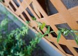Auf nie mehr Wiedersehen! – Sichtschutz am Balkon