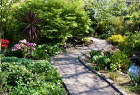 Farbdesign mit Blüten und Blättern (nach Standort)