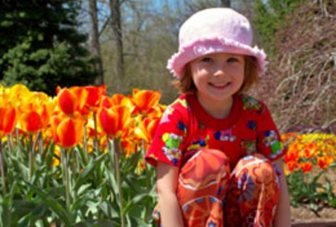 Der Frühling lässt Freude blühen