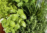 Blütendinner - Schlemmerzeit im Garten