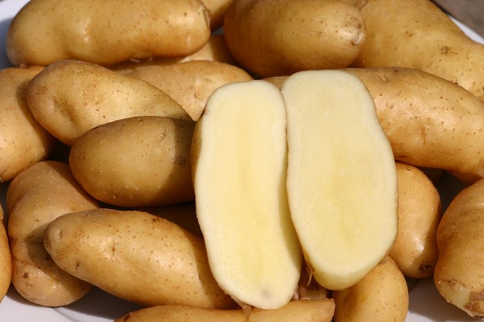 Kartoffeln Kartoffeln