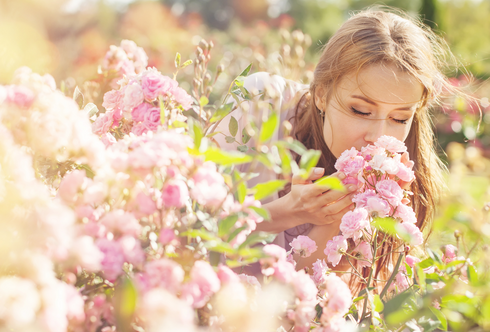 10 gute Gründe, sich auf das neue Gartenjahr zu freuen