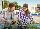 Urban Farming