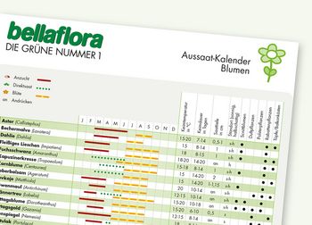 Aussaat-Kalender Blumen