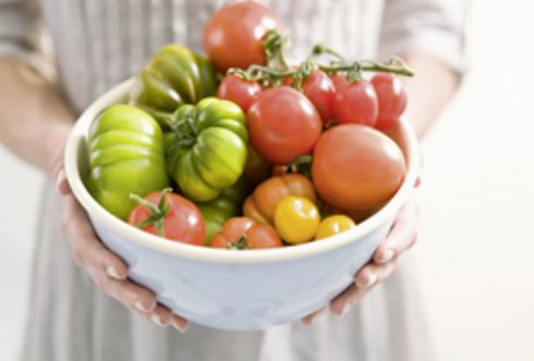 Tomatenfieber