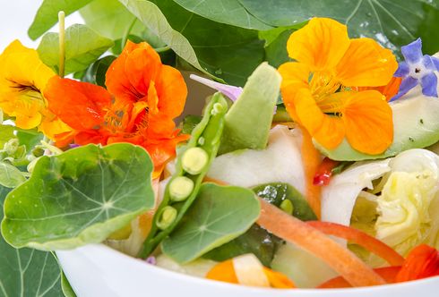 Sommerblütensalat mit Kapuzinerkresse