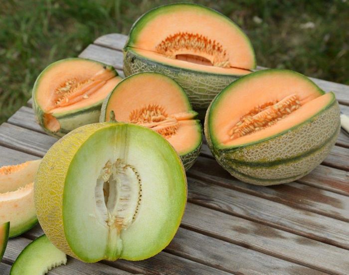 Melonen