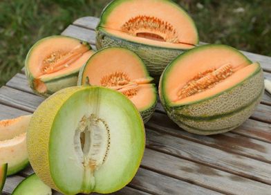Melonen