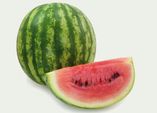 Die größten Beeren: Melonen und Kürbisse