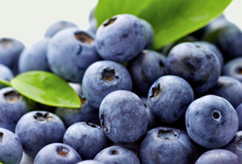 Die Beeren sind los