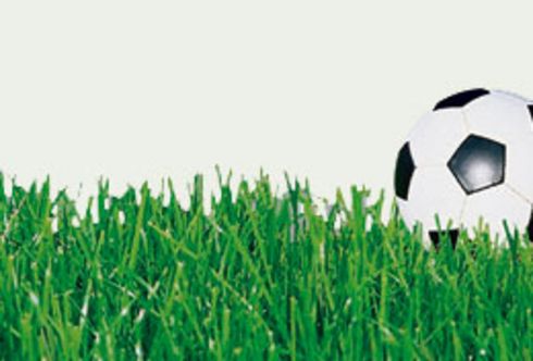 Der grüne Teppich für den Garten - Rasenneuaussaat