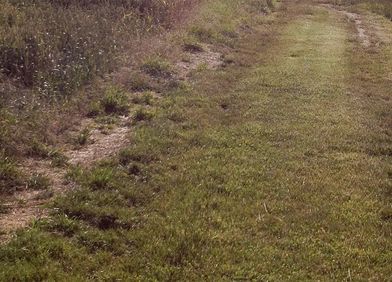 Bodenverdichtung: Laufwege