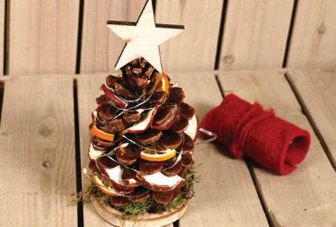 Zapfen Gewürzbäumchen