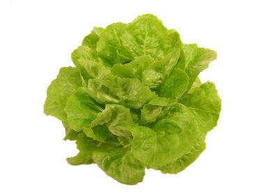 Salat