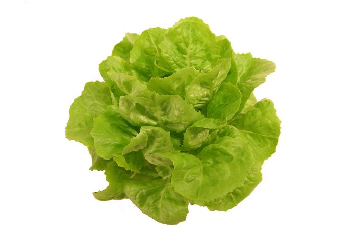 Salat Salat