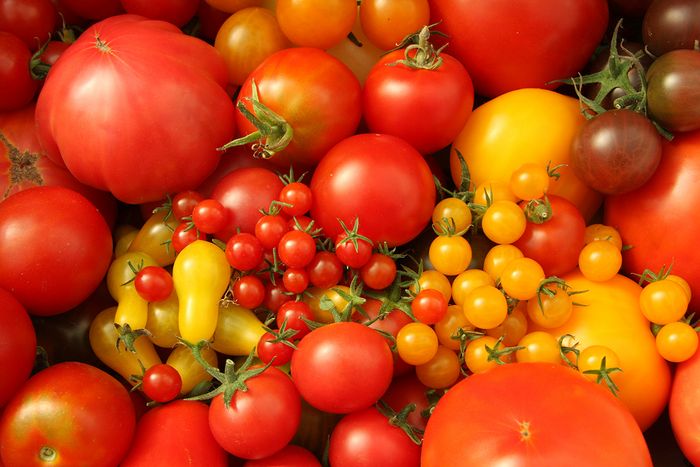 Tomaten Tomaten