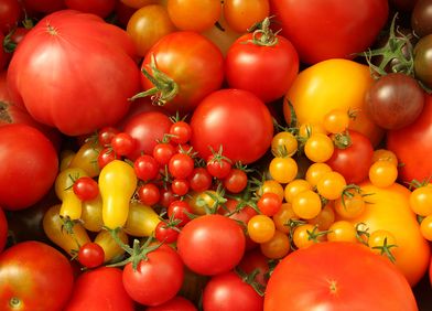 Tomaten
