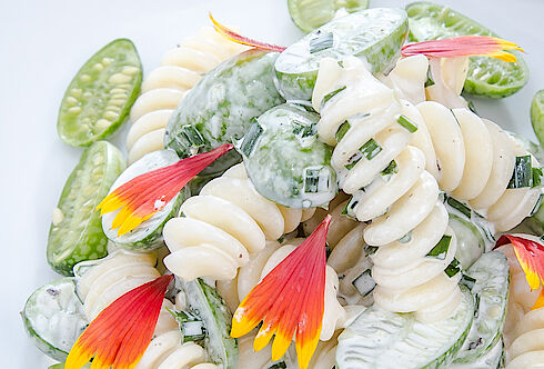 "Melothria Cherrygurken" Nudelsalat