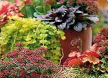 Zauberhafter Herbst – Herbstzauber