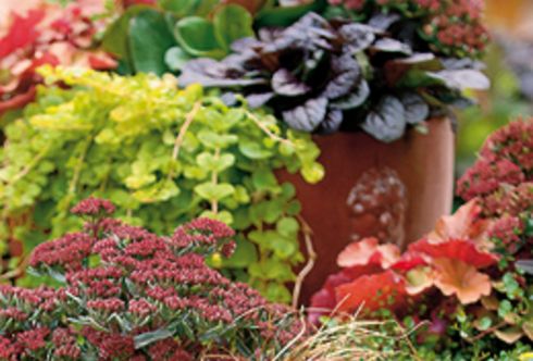 Zauberhafter Herbst – Herbstzauber