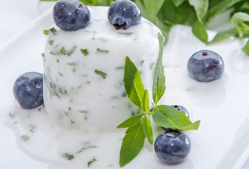 Sorbet mit Zitronenverbene