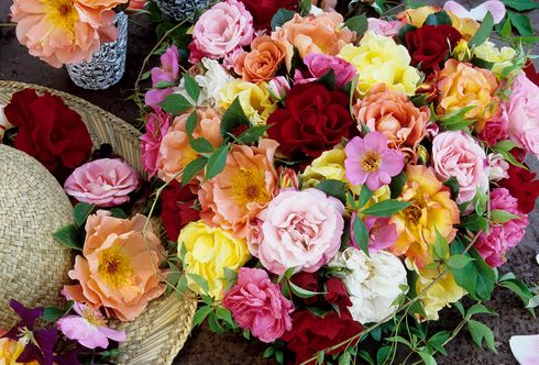 Rosenpotpourri