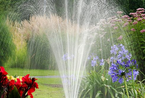 Bewässerung rund um das Gartenjahr