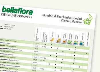 Feuchtigkeits-Kalender Zimmerpflanzen