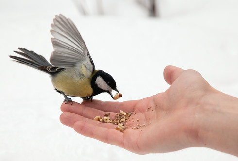 Die schönsten Geschenke der Natur