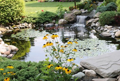 Rund um den Gartenteich