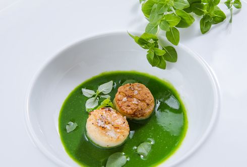 Basilikum-Spinatsuppe