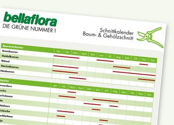 Schnittkalender Baum- und Gehölzschnitt