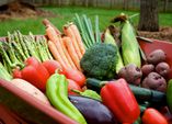 Erntezeit – im Gemüse- und Beerengarten!