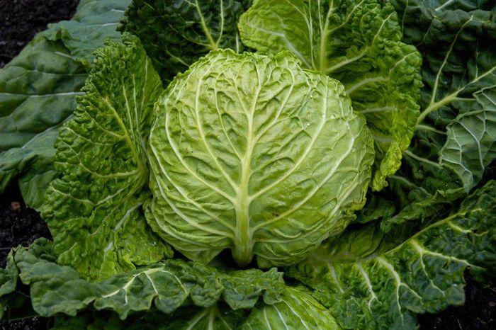 Kohl Kohl