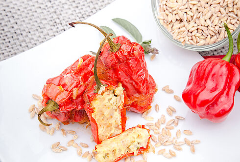 Geschmorter Habanero gefüllt mit Einkornreis