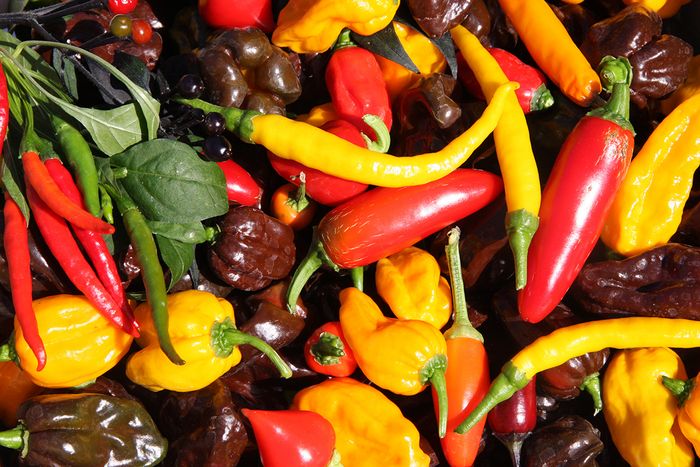 Chili Chili