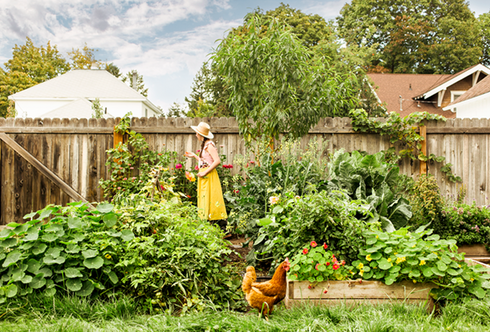 Der Selbstversorger Garten