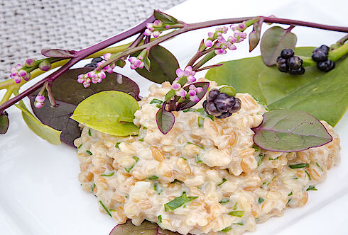 Waldstaude-Korn Risotto Malabarspinat