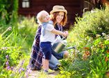 Wassersparen - 6 Tipps für den privaten Garten