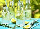 Bio-Saftkräuter - Rezepte Teil 1