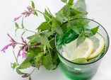Limonade mit Limonadenpflanze