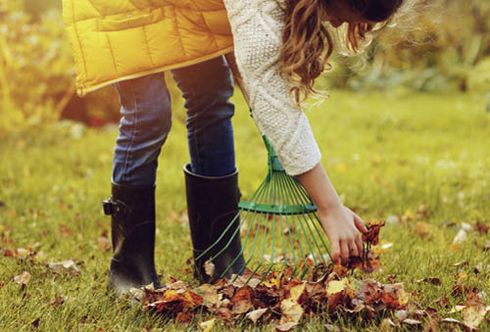 Herbstlaub als Kompost nutzen
