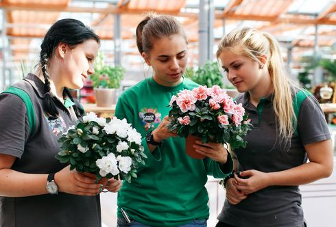 Lehre bei bellaflora