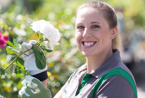 Tipps für die Bewerbung