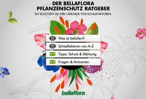Pflanzenschutz-Ratgeber